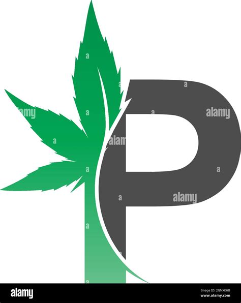 Letter P Logo Icon With Cannabis Leaf Design Vector Stock Vector Image