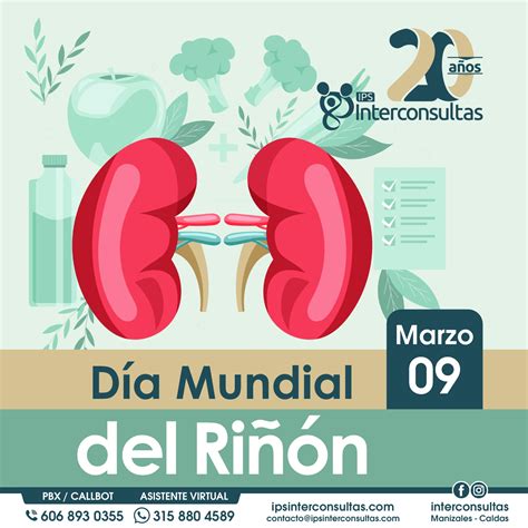Día Mundial del Riñon – IPS Interconsultas