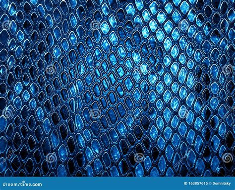 Blue snake skin background stock image. Image of background - 163857615