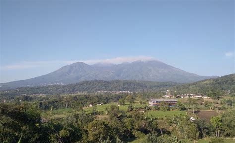 Pendakian Arjuno Welirang Ditutup Akibat Kebakaran Hutan Suara Surabaya