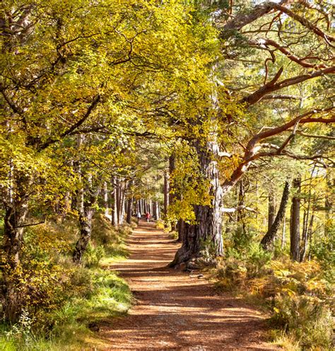 Guided Women’s Hiking Tour, Cairngorms, Scotland | 57hours