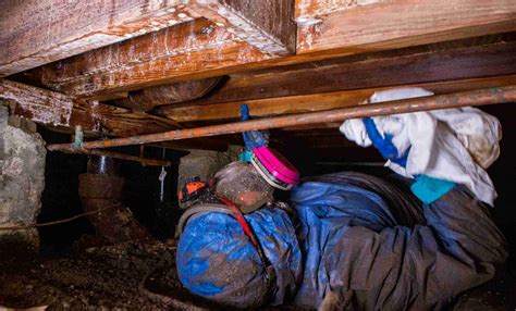 Professional Crawl Space Cleaning Services By Velo Air Inc.