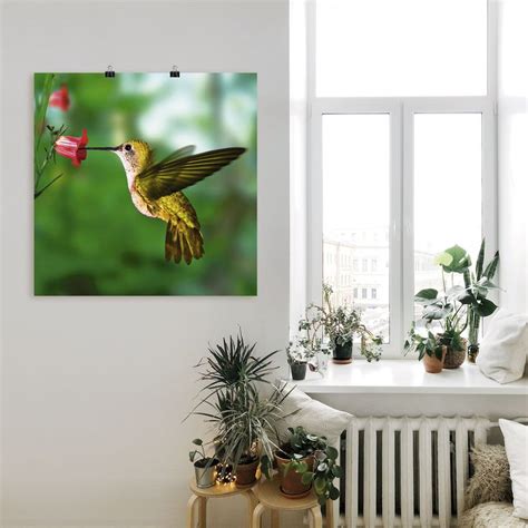 Artland Wandbild Kolibri Vögel 1 St in vielen Größen