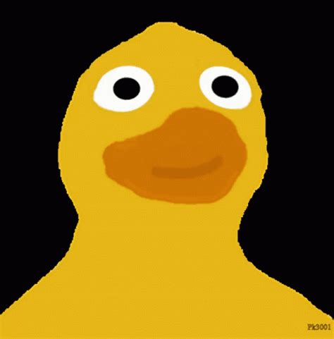 Ducky Ducks Ducky Ducks Ducking Discover Share GIFs