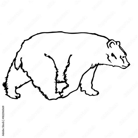 black and white vector bear silhouette Stock Vector | Adobe Stock