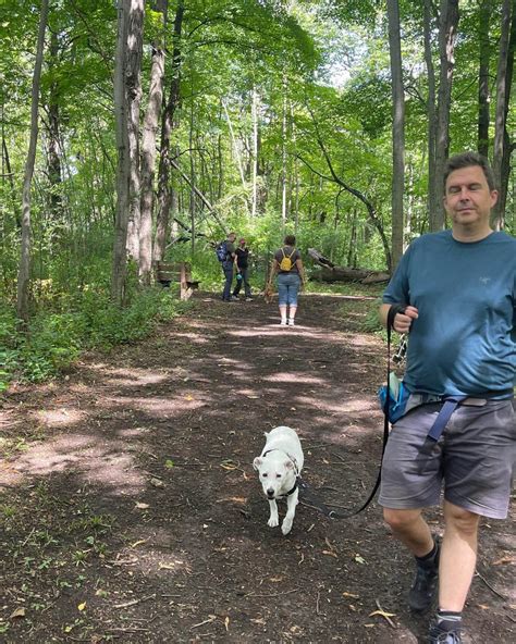 university of milwaukee paws 3