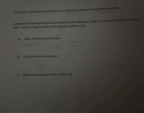 Movement Of Water In Hypotonic Solution 3