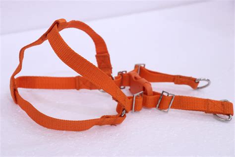 Leashes and Harness for Pets | ME & My | DB-03 - Homeo Nest India