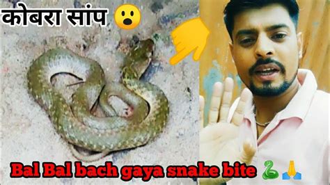 Omg 🐍😱 Mere Ghar Ka Gate Ka Samne Itna Bada Snake Nikla Bal Bal Baj