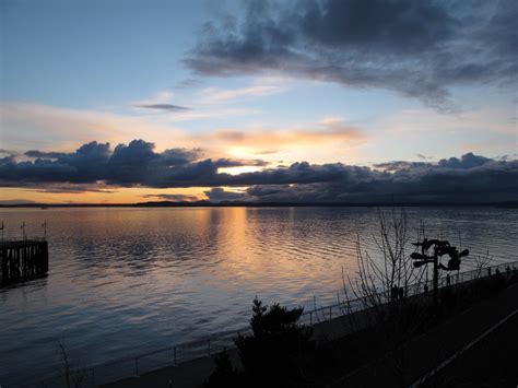 Elliott Bay Trail — Washington Trails Association