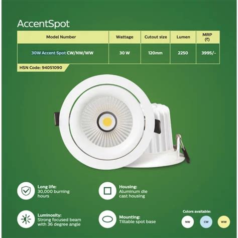 Led Philips 30w Accent Spot Cut Out 120mm Round At Rs 100piece In Delhi