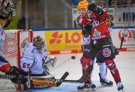 Pinguins Gewinnen Den Swb Energie Cup