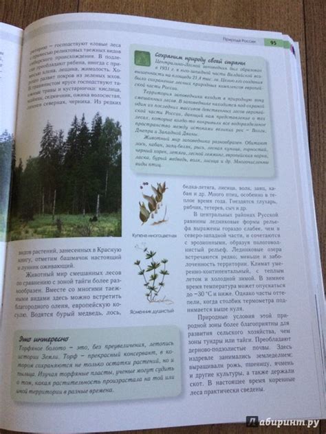 Книга: География России. Полная энциклопедия - Наталия Петрова. Купить ...