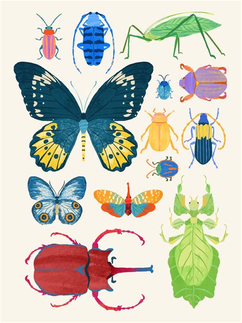 Sun Lee Art - Interesting Insects