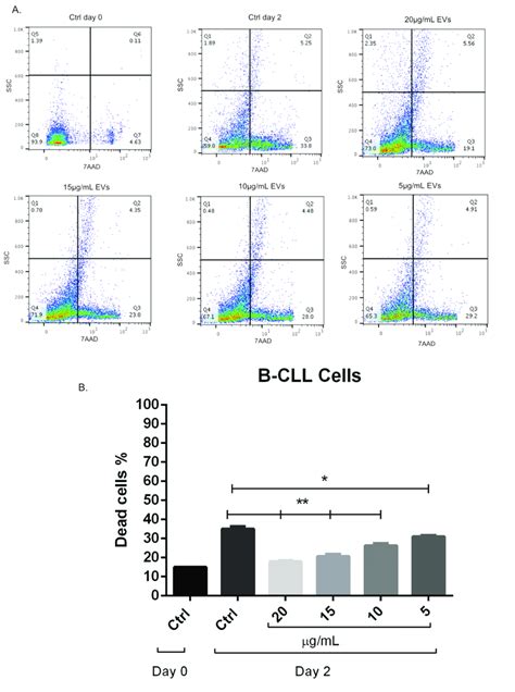 Different concentrations of EVs are incubated with B-CLL cells. (A ...