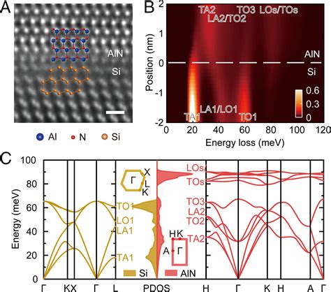 Atomic Scale Probing Of Heterointerface Phonon Bridges In Nitride