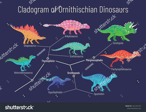 Diagram Showing Relations Among Ornithischia Thyreophora Stock Vector ...