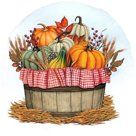 Pin By Mesc On FALL Vegetable Illustration Basket Drawing Fall