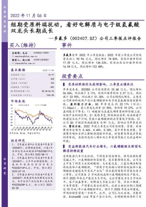 公司三季报点评报告：短期受原料端扰动，看好电解质与电子级氢氟酸双龙头长期成长