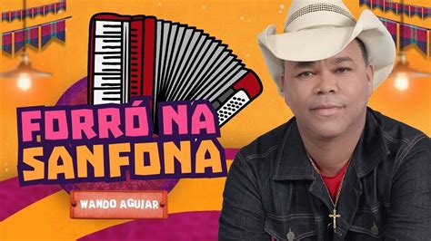 O PAPAI CHEGOU NO FORRÓ WANDO SANFONADO TOP SANFONIAS QUENTE 2023