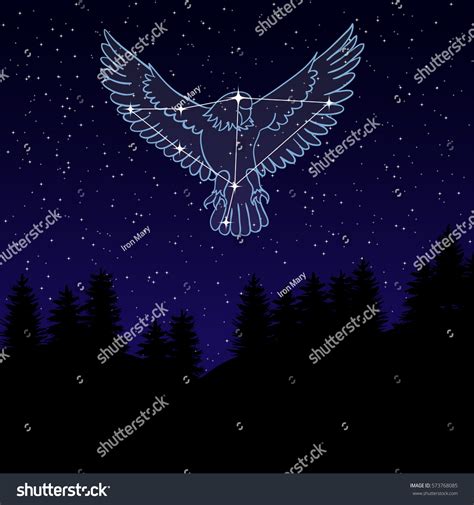 Vector Illustration Night Sky Constellation Eagle Stock Vector ...