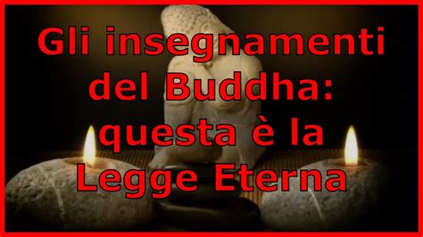 Gli insegnamenti del Buddha questa è la Legge Eterna YouTube