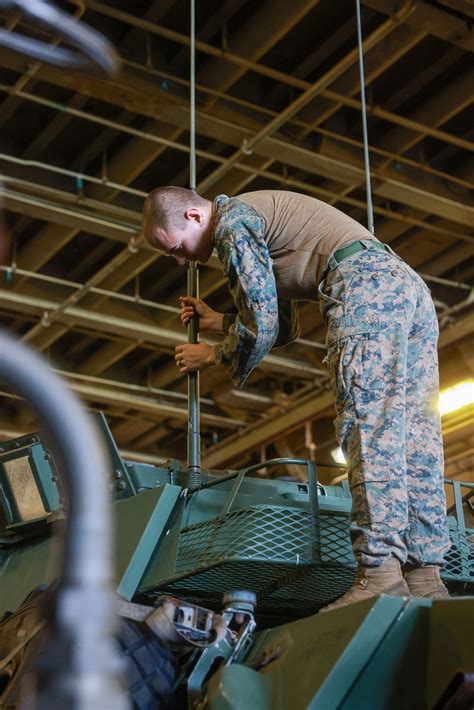 Dvids Images Lar Marines Rehearse Company Level Reinforcement