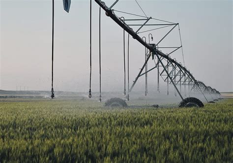 Alberta Farmers Plan For Dry Conditions The Western Producer