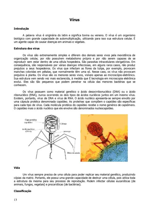 Resumo Virus E Bacterias - FDPLEARN
