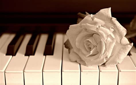 Piano Music Wallpaper 71 Pictures Wallpaperset