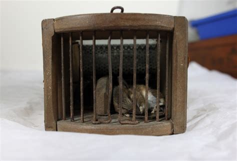 University of Reading Museums and Collections : 155-year old mouse trap ...