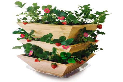 Best Strawberry Planters, Pots, Towers - Garden Empowerment