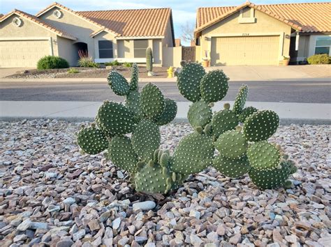 New segments might change how long is the rockettes christmas show 20