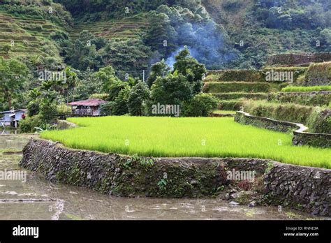 Philippine Countryside High Resolution Stock Photography And Images Alamy