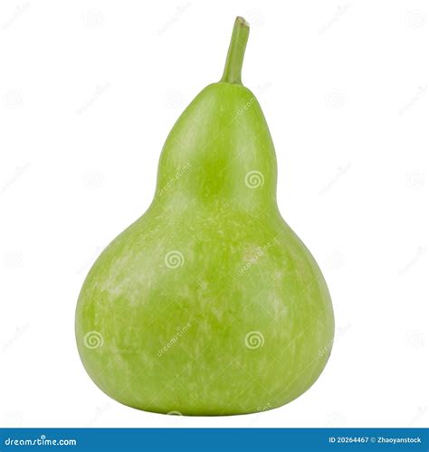 Green Gourd Royalty Free Stock Photography - Image: 20264467