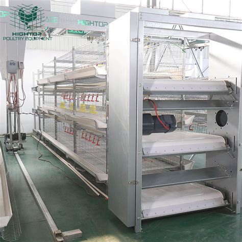 Good Price Broiler Farm Fast Delivery Hot Dip Galvanized H Type Rearing