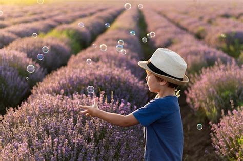 Petit Enfant Dans Un Champ De Fleurs Photo Gratuite