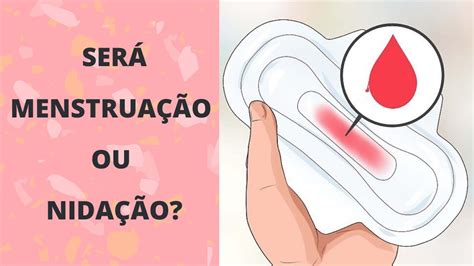 Nida O Veja Aqui Tudo O Que Voc Precisa Saber Sobre O Primeiro