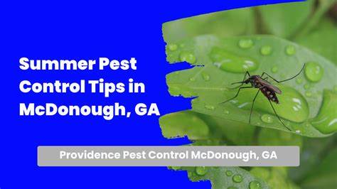 Summer Pests In Mcdonough Ga How Providence Pest Control Can Help