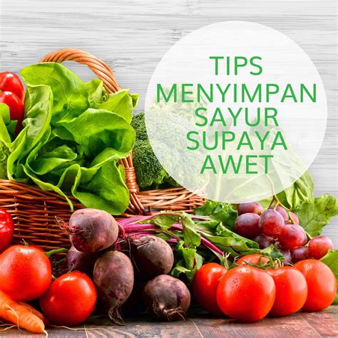 TIPS MENYIMPAN SAYUR SUPAYA AWET So Good