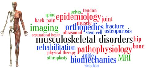 BMC Series Blog BMC Musculoskeletal Disorders Highlights Of 2017