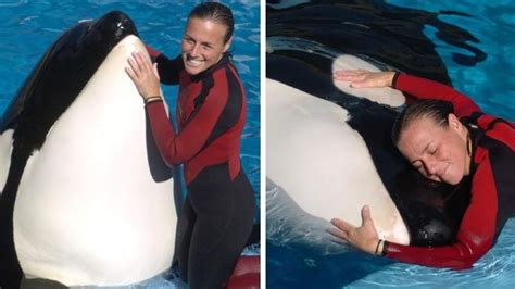 Story Of Dawn Brancheaus Tragic Death By Killer Captive Whale Herald Sun