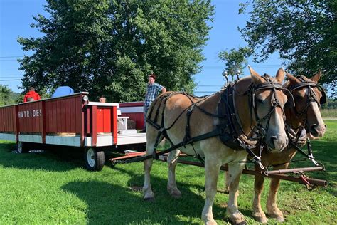 Horse-Drawn Wagon Rides | Lyman Orchards