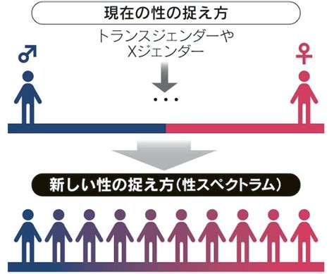 新しい性の捉え方（性スペクトラム） 吉村やすのり 生命の環境研究所