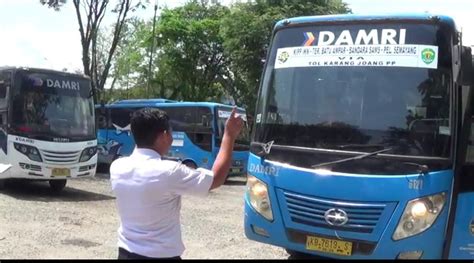 Rute Bus Damri Balikpapan IKN Mudahkan Masyarakat Menuju IKN