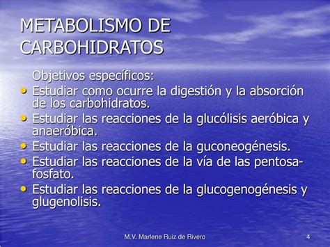 Ppt Metabolismo De Los Carbohidratos Powerpoint Presentation Free