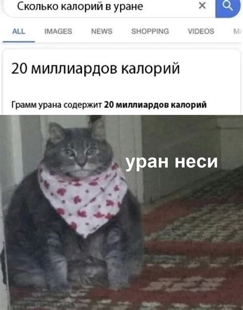 ﻿X Сколько калорий в уране ALL IMAGES NEWS SHOPPING VIDEOS M 20 ...