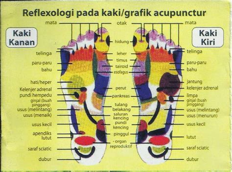 Ragam Gambar Titik Syaraf Rekleksi Kaki Dan Tangan