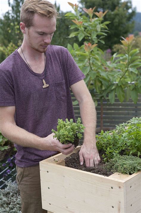 Rollbares Hochbeet Auf Balkon Selbst Bild Kaufen Image