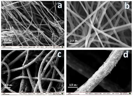 Scanning electron microscope images of nanofibers (a) PS magnified 20k ... 